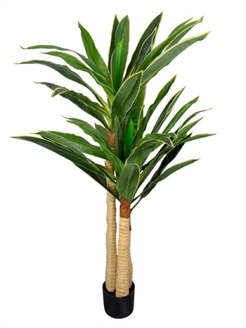 Kunstig Dracena Plante - Høyde 170 cm - Lange vakre blader - Kunstig gulvplante