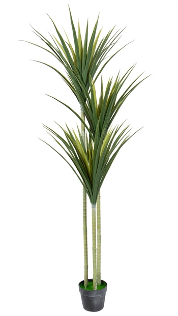 Kunstig palme med 3 stammer, 160 cm høy - Dracaena Marginata palme