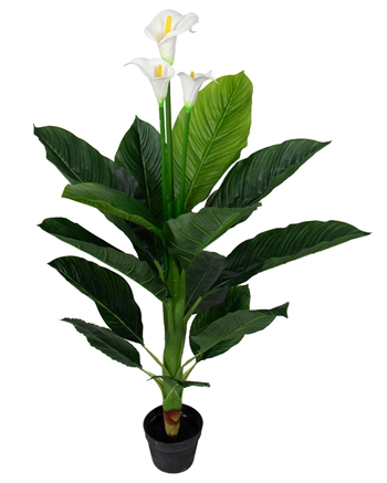 Kunstig plante - Høyde 120 cm - Dekorativ Calla med tre vakre hvite blomster