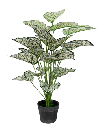 Kunstig plante 80 cm - Vakker Calathea med hvite og grønne blader