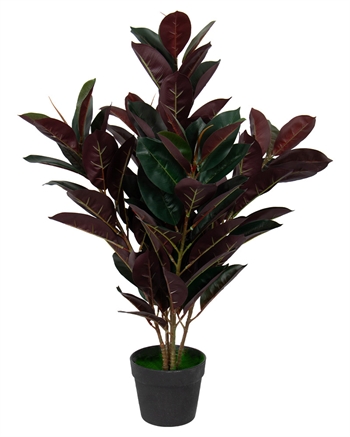 Kunstig gummiplante 80 cm høy - Ficus elastica med rødlige blader